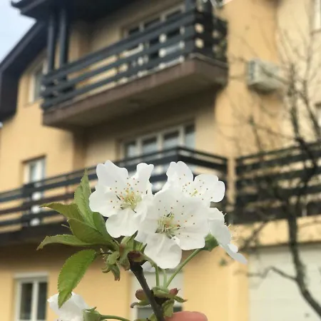 Deluxe Jasmina Apartment Bihać